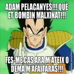 ADAM PELACANYES!!! QUÈ ET BOMBIN MALXINAT!!! FES-ME CAS ARA M'ATEIX O DEMÀ M'AFAITARÀS!!!