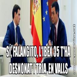 SÍ, FALANGITO, L'IBEX 35 T'HA DESNONAT I TRIA  EN VALLS