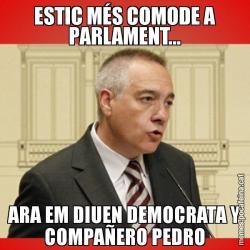 ESTIC MÉS COMODE A PARLAMENT... ARA EM DIUEN DEMOCRATA Y COMPAÑERO PEDRO