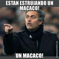 ESTAN ESTRUJANDO UN MACACO! UN MACACO!