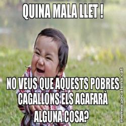 QUINA MALA LLET ! NO VEUS QUE AQUESTS POBRES CAGALLONS ELS AGAFARÀ ALGUNA COSA?