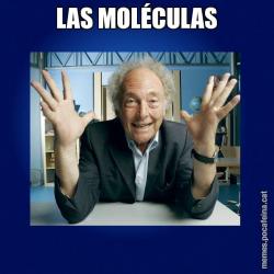 LAS MOLÉCULAS