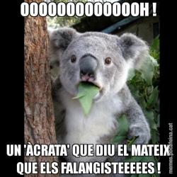 OOOOOOOOOOOOOH ! UN 'ÀCRATA' QUE DIU EL MATEIX QUE ELS FALANGISTEEEEES !