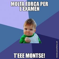 MOLTA FORÇA PER L'EXAMEN T'EEE MONTSE!