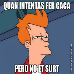 QUAN INTENTAS FER CACA PERO NO ET SURT