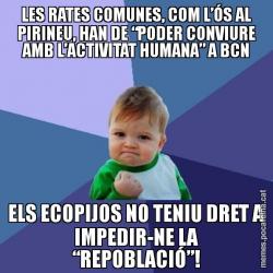 LES RATES COMUNES, COM L’ÓS AL PIRINEU, HAN DE “PODER CONVIURE AMB L’ACTIVITAT HUMANA” A BCN ELS ECOPIJOS NO TENIU DRET A IMPEDIR-NE LA “REPOBLACIÓ”!