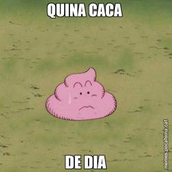 QUINA CACA  DE DIA