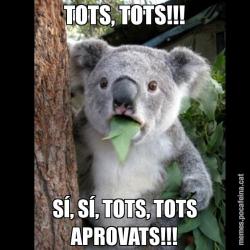 TOTS, TOTS!!! SÍ, SÍ, TOTS, TOTS APROVATS!!!