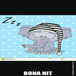 BONA NIT