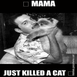 ♬ MAMA JUST KILLED A CAT ♬