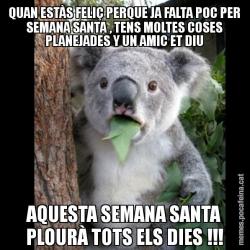 QUAN ESTÀS FELIÇ PERQUE JA FALTA POC PER SEMANA SANTA , TENS MOLTES COSES PLANEJADES Y UN AMIC ET DIU AQUESTA SEMANA SANTA PLOURÀ TOTS ELS DIES !!!
