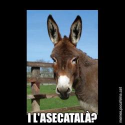I L'ASECATALÀ?