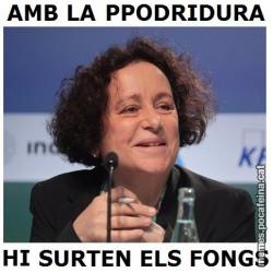 Meme i9qezu