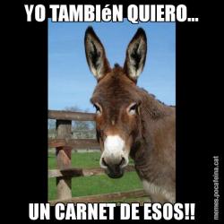 YO TAMBIéN QUIERO... UN CARNET DE ESOS!!