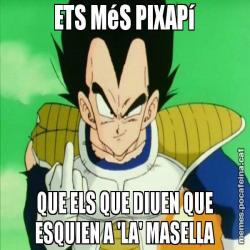 ETS MéS PIXAPí QUE ELS QUE DIUEN QUE ESQUIEN A 'LA' MASELLA