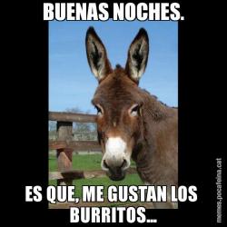 BUENAS NOCHES. ES QUE, ME GUSTAN LOS  BURRITOS...