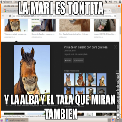 LA MARI ES TONTITA Y LA ALBA Y EL TALA QUE MIRAN  TAMBIEN