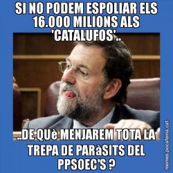 SI NO PODEM ESPOLIAR ELS 16.000 MILIONS ALS 'CATALUFOS'.. ..DE QUè MENJAREM TOTA LA TREPA DE PARàSITS DEL PPSOEC'S ?