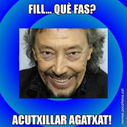 FILL... QUÈ FAS?  ACUTXILLAR AGATXAT!