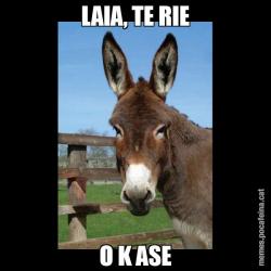 LAIA, TE RIE O K ASE