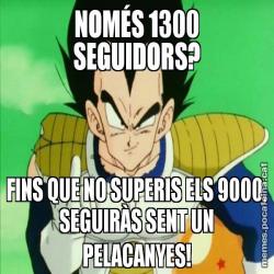 NOMÉS 1300 SEGUIDORS? FINS QUE NO SUPERIS ELS 9000, SEGUIRÀS SENT UN PELACANYES!