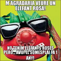M'AGRADARIA VEURE UN ELEFANT ROSA! NO TENIM ELEFANTS ROSES PERÒ... AVUI EL SOMESPLAI FA 1 ANY!
