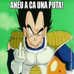 ANEU A CA UNA PUTA!