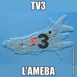 TV3 L'AMEBA
