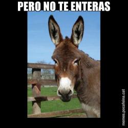 PERO NO TE ENTERAS