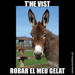 T'HE VIST ROBAR EL MEU GELAT