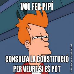 VOL FER PIPÍ CONSULTA LA CONSTITUCIÓ PER VEURE SI ES POT