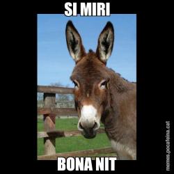 SI MIRI BONA NIT