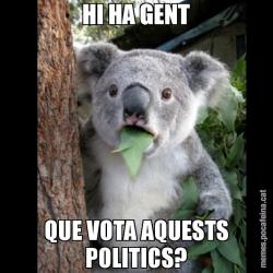 HI HA GENT QUE VOTA AQUESTS POLITICS?