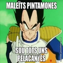 MALEÏTS PINTAMONES SOU TOTS UNS PELACANYES