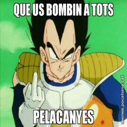 QUE US BOMBIN A TOTS PELACANYES
