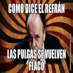 COMO DICE EL REFRÁN LAS PULGAS SE VUELVEN FLACO