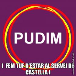 (  FEM TUF D'ESTAR AL SERVEI DE CASTELLA )