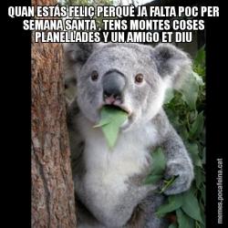 QUAN ESTÁS FELIÇ PERQUÈ JA FALTA POC PER SEMANA SANTA , TENS MONTES COSES PLANELLADES Y UN AMIGO ET DIU