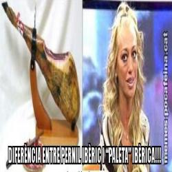 DIFERÈNCIA ENTRE PERNIL IBÈRIC I “PALETA” IBÈRICA!!!