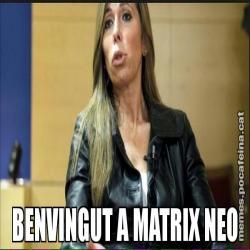BENVINGUT A MATRIX NEO
