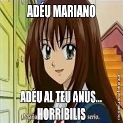 ADÉU MARIANO ADÉU AL TEU ANUS... HORRIBILIS