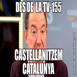 DES DE  LA TV-155 CASTELLANITZEM CATALUNYA