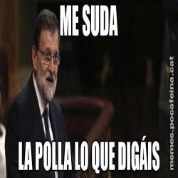 ME SUDA LA POLLA LO QUE DIGÁIS