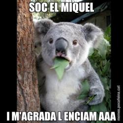 SOC EL MIQUEL I M'AGRADA L ENCIAM AAA