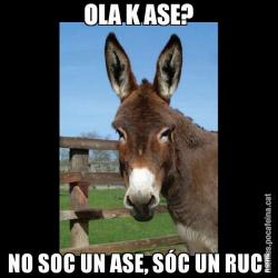 OLA K ASE? NO SOC UN ASE, SÓC UN RUC!