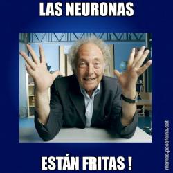 LAS NEURONAS ESTÁN FRITAS !