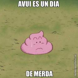 AVUI ES UN DIA   DE MERDA