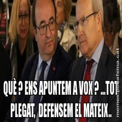 QUÈ ? ENS APUNTEM A VOX ? ...TOT PLEGAT,  DEFENSEM EL MATEIX..