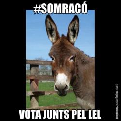 #SOMRACÓ VOTA JUNTS PEL LEL