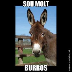 SOU MOLT BURROS